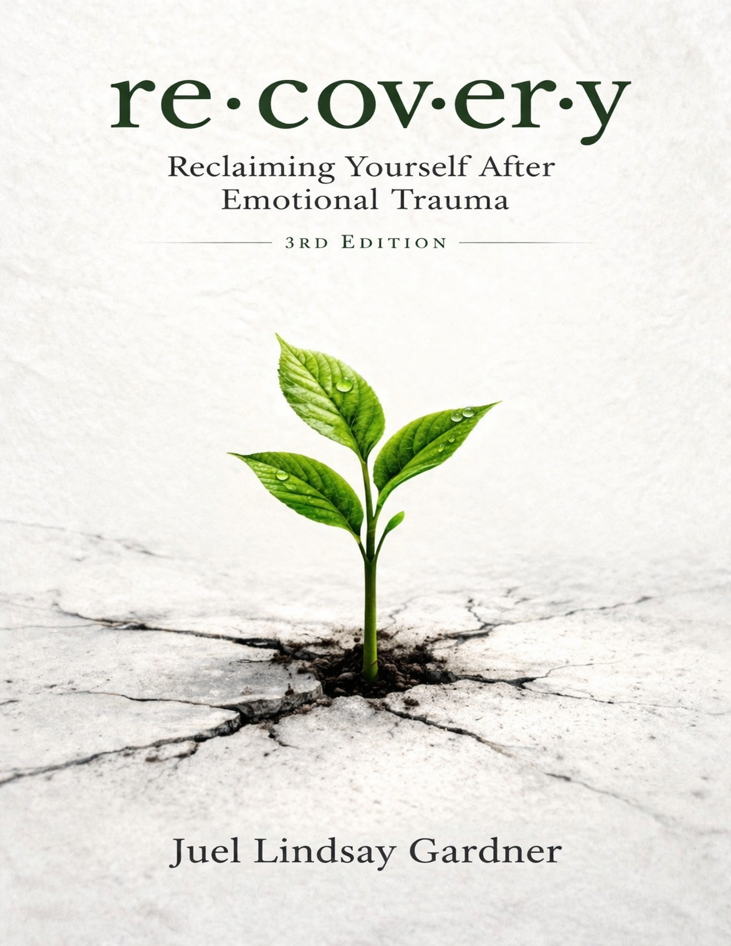 ⁠re·cov·er·y: Reclaiming Yourself After Emotional Trauma (3rd Edition)